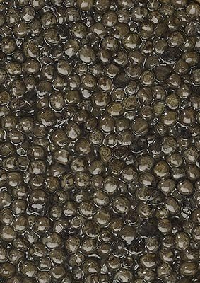 Caviar Osciètre Prunier Classique 30 g