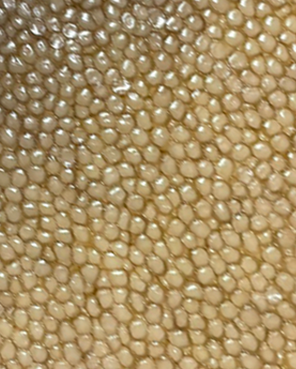 Finest Caviar Almas 30 g
