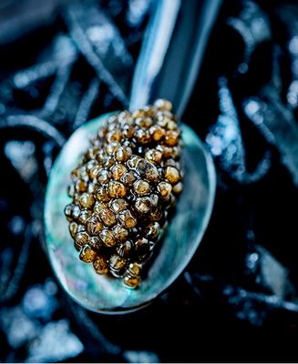Our Caviars