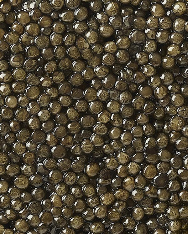Prunier Caviar Baeri Paris 30 g