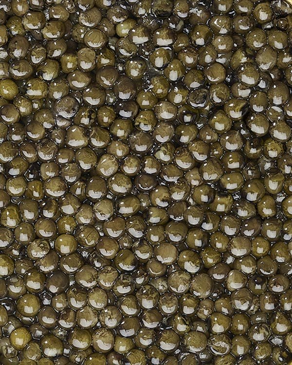 Prunier Caviar Oscietra Supérieur 30 g