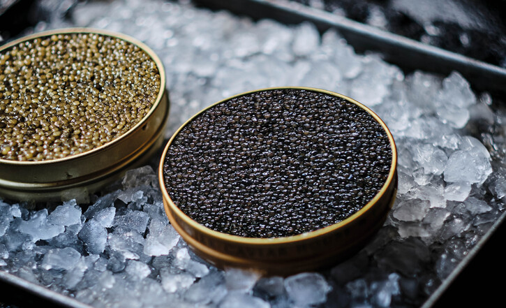 All Our Caviars
